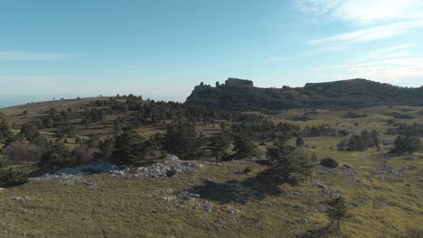 mountain landscape with pine trees and rocky peaks