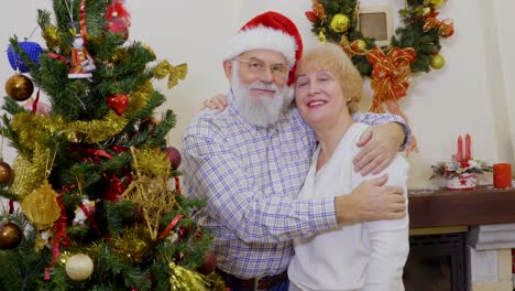 una pareja feliz y madura decora el árbol de navidad.