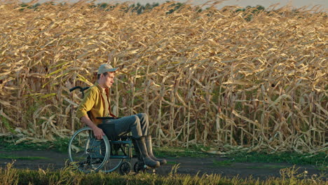 hombre en silla de ruedas en un campo de maíz al atardecer