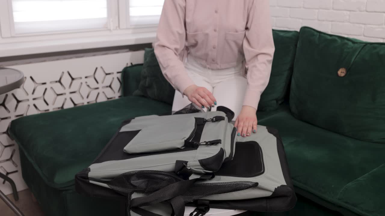 4k 해상도로 촬영된 녹색 소파 위의 아파트에서 강아지 상자를 설치하는 젊은 여성