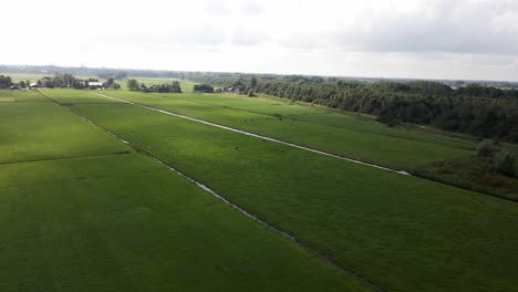 Típico-Paisaje-Holandés-Desde-El-Cielo,-Imágenes-De-Drones-Del-Prado-Holandés