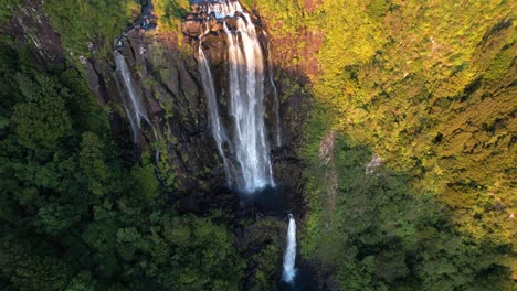 approaching on the tall cascades of wairere falls on the north island, new zealand