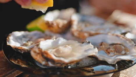 fresh oysters with lemon