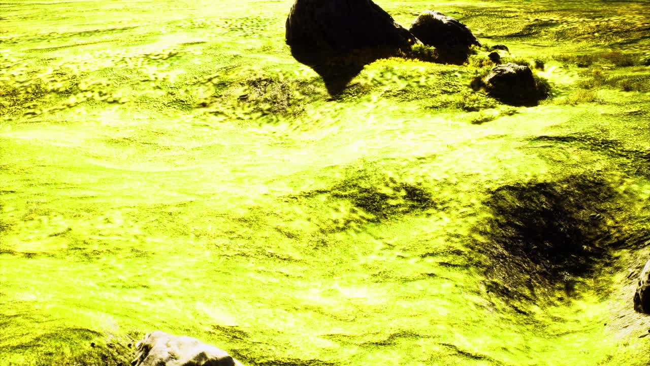 Bright green river flowing past smooth stones in a natural setting