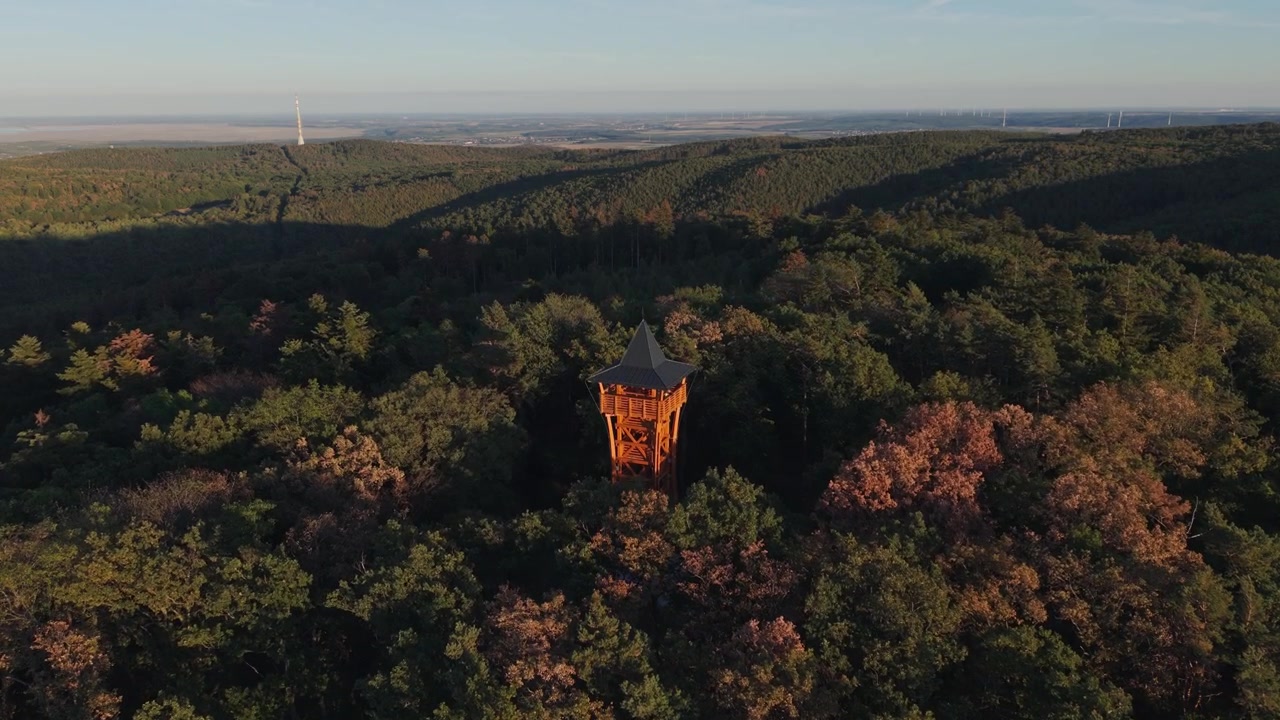 Paisaje aéreo que muestra una torre de observación de madera sobre un denso bosque otoñal, con un pueblo, campo abierto y agua visible en el horizonte