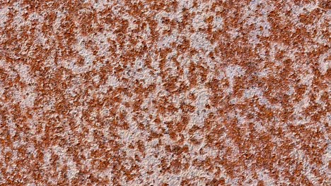 seamless loopable background from rusty metal