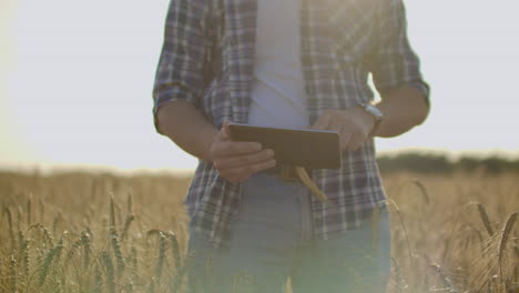 Joven-Agricultor-Sosteniendo-Tableta-En-Campo-De-Trigo