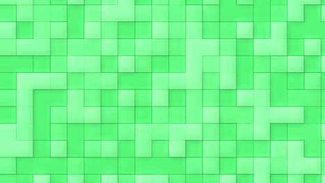 fondo animado abstracto verde