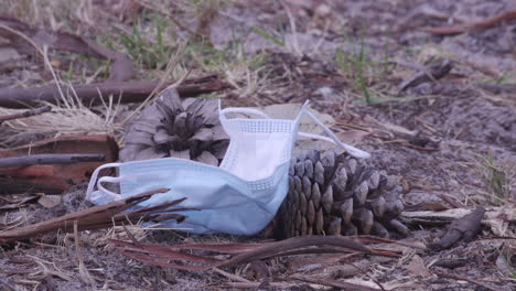 a discarded used face mask falling onto the ground in front of pine cones in the bush