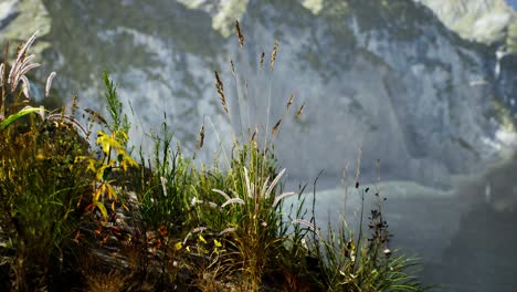 Frisches-Gras-An-Einer-Großen-Felsigen-Klippe-Im-Ozean