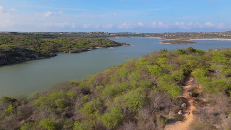drone ascend to reveal jan thiel salt pan, showcasing natural wetland landscape with greenery and calm waters