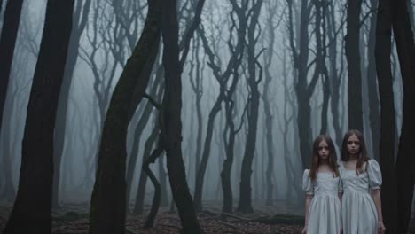 twin girls in foggy forest