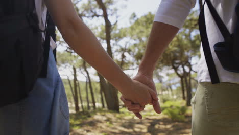 pareja de mochileros tomados de la mano al aire libre