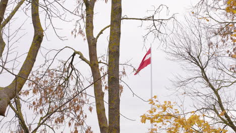 latvian flag in autumn visible trough trees