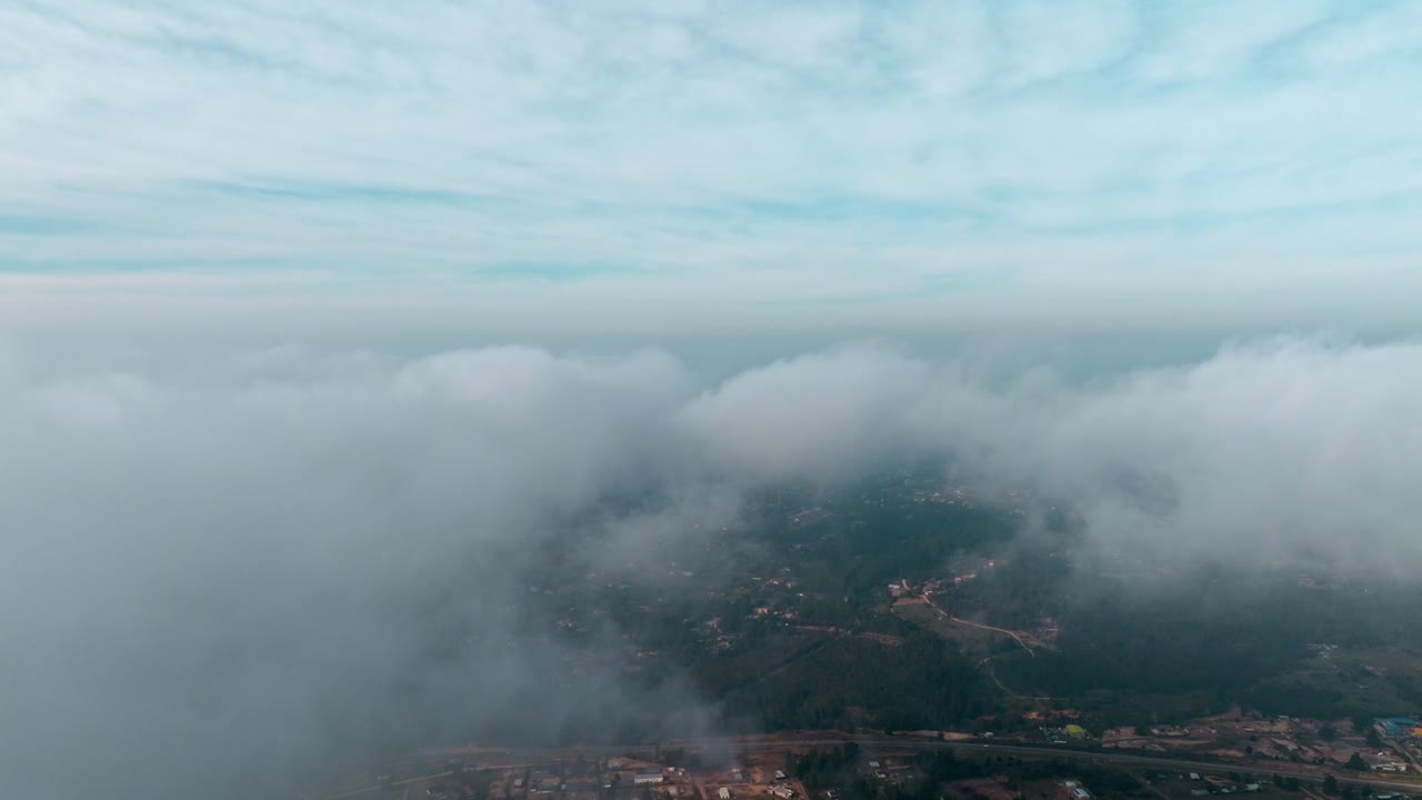 Indzoomende luftfoto af et skydække over en fyrreskov