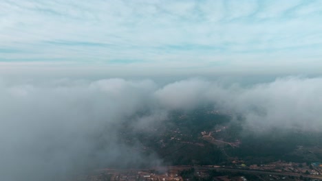 dolly en vista aérea de un manto de nubes sobre un bosque de pinos
