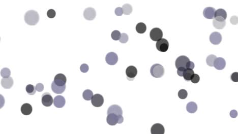 círculos negros sobre fondo blanco, efecto bokeh. círculos brillantes abstractos. efecto desfocado. fondo bokeh borroso. composición horizontal, calidad de video 4k