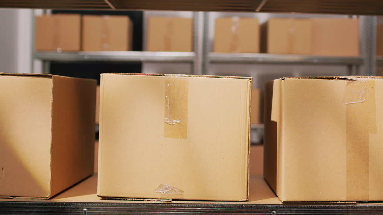 Warehouse Shelves with Boxes and Workers