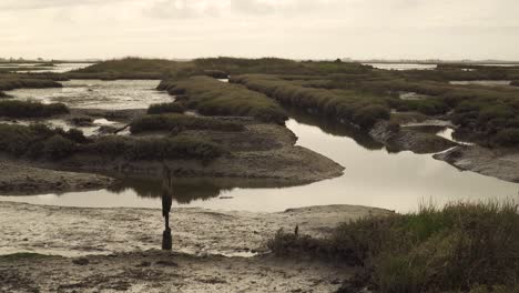 Lecho-De-Río-Fangoso-De-4k-En-Marea-Baja-Con-Un-Poco-De-Agua-Que-Fluye-Río-Abajo-Hacia-El-Océano