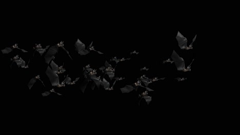 bats animation halloween black bats flying 4k on green screen background horror halloween grunge