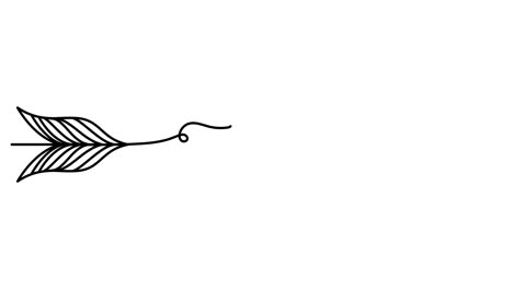 ilustración animada. letras continuas de una línea liebe (amor en alemán) en forma de flecha. estilo minimalista dibujado a mano. video 4k