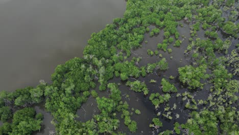 above manialtepec mangroves near puerto escondido, oaxaca, mexico