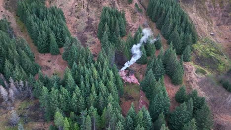 Vapor-Que-Se-Eleva-Sobre-Las-Aguas-Termales-Entre-Los-árboles-En-Hveragerdi,-Al-Sur-De-Islandia