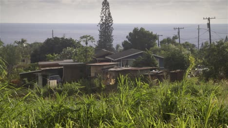 Old-houses-in-Anahola-Kauai-Hawaii-