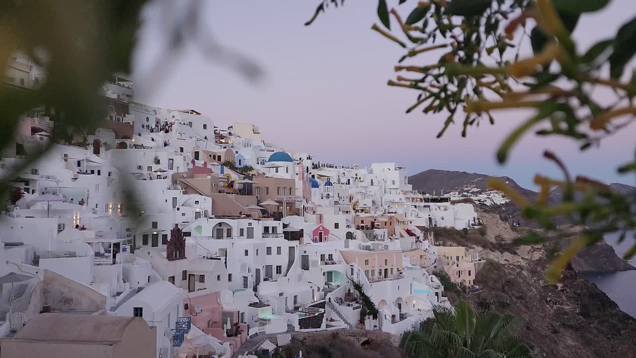 las casas icónicas de santorini enmarcadas con ramas