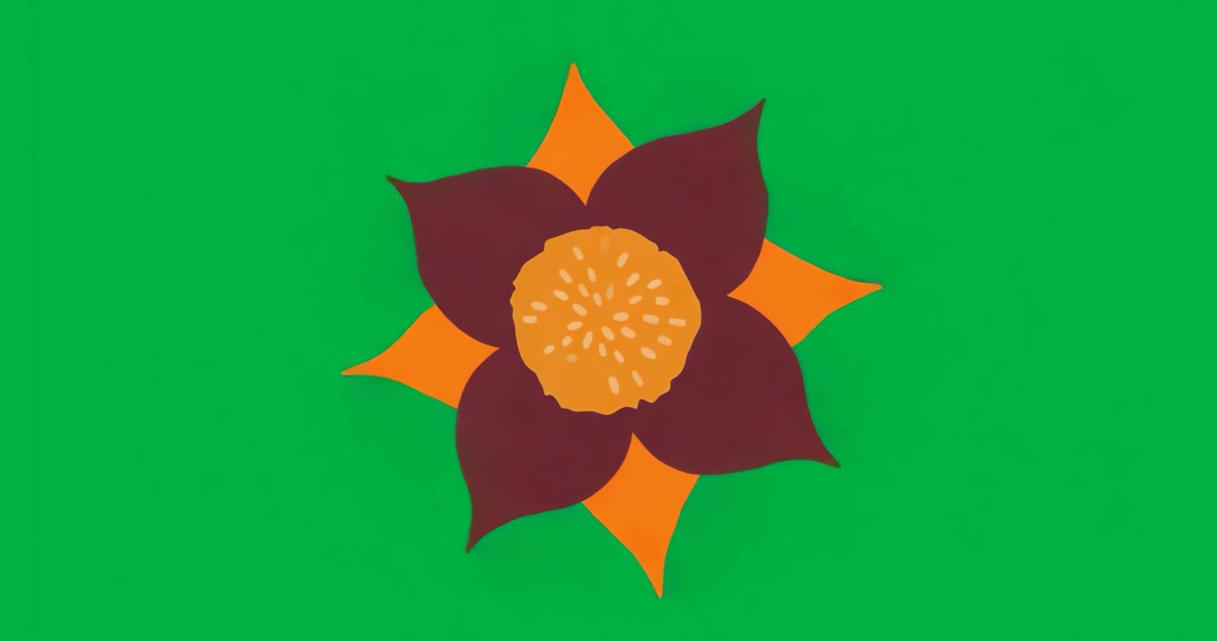 Forma di fiore che inizia a ruotare, girando in senso orario al secondo su tela chiara, mostrando un movimento fluido.