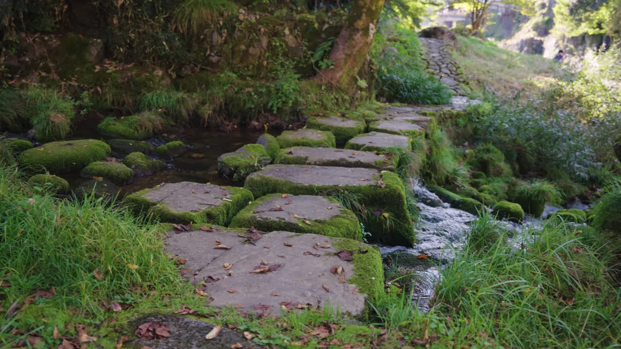 camino secreto de piedra cubierto de musgo sobre el arroyo en gujo hachiman, gifu japón