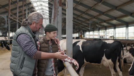 man and boy looking at cows at family dairy farm