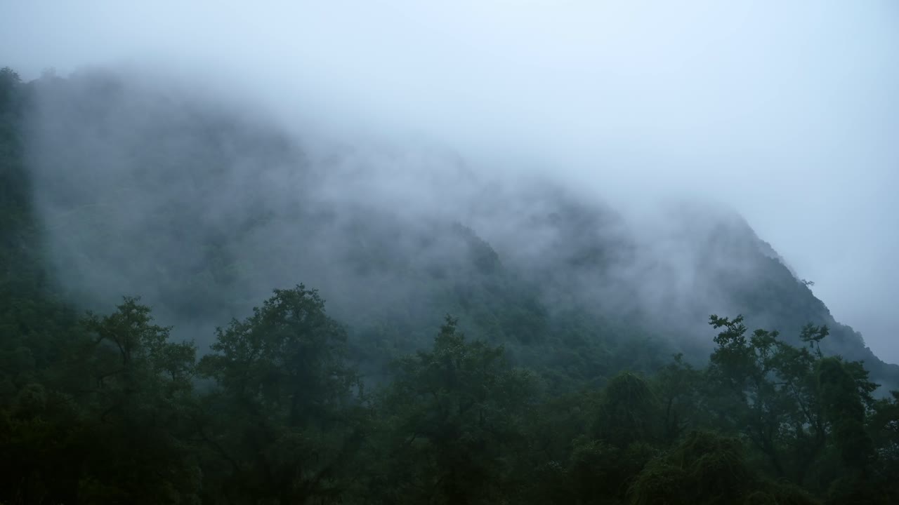 Moody Blue and Green Nature Background, Dark Misty Rainforest and Jungle Background Copy Space for Text, Tree Tops with Clouds and Mist Moving in Atmospheric Mood from Elevated View