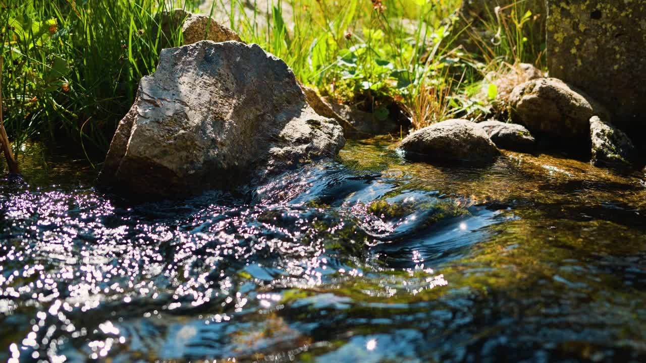 Sunlight sparkles on a rocky stream flowing through lush greenery in a peaceful nature scene