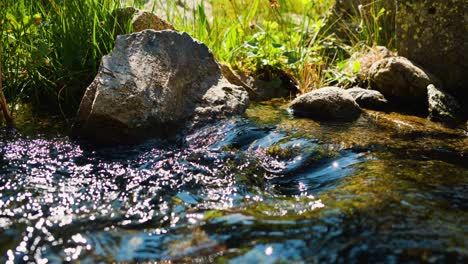 sunlight sparkles on a rocky stream flowing through lush greenery in a peaceful nature scene