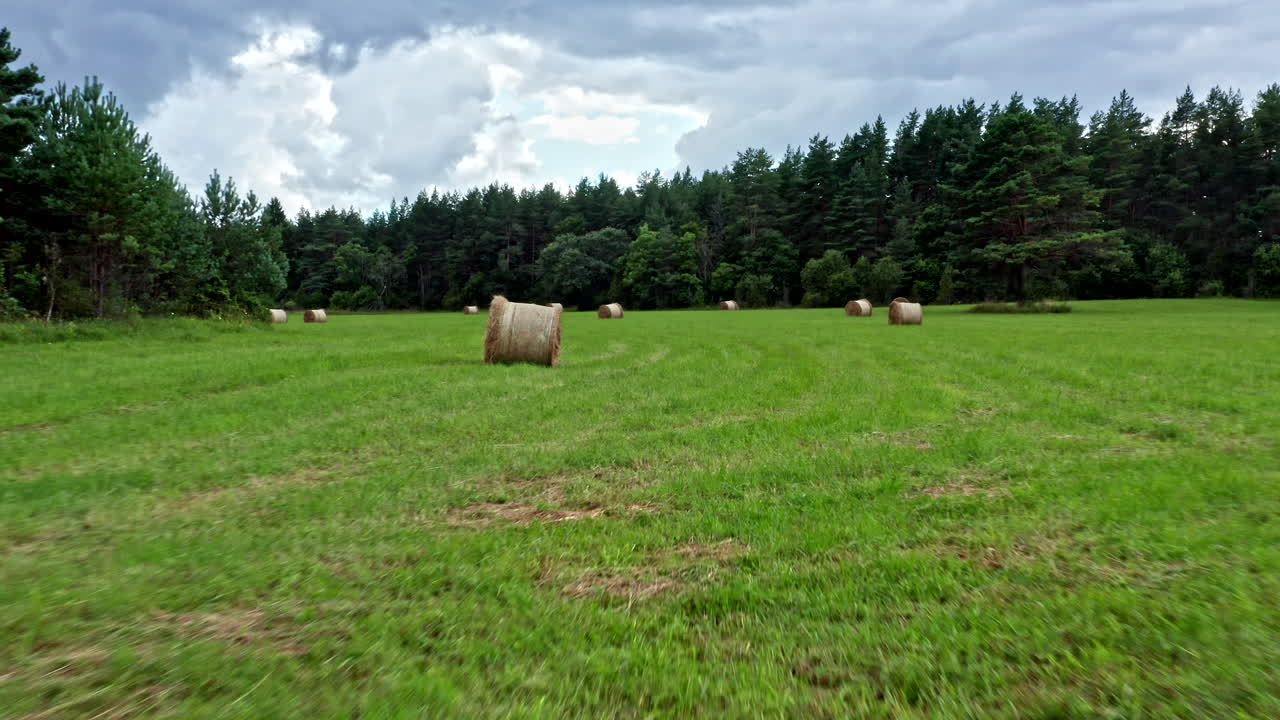 Aerial drone view of green fields at summer in Saaremaa - Estonia. High-quality video of agriculture and farming