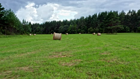 aerial drone view of green fields at summer in saaremaa - estonia. high-quality video of agriculture and farming
