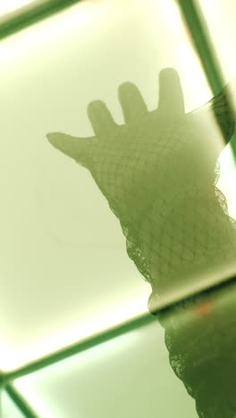 Hand in Lace Glove, Shadow Reflection
