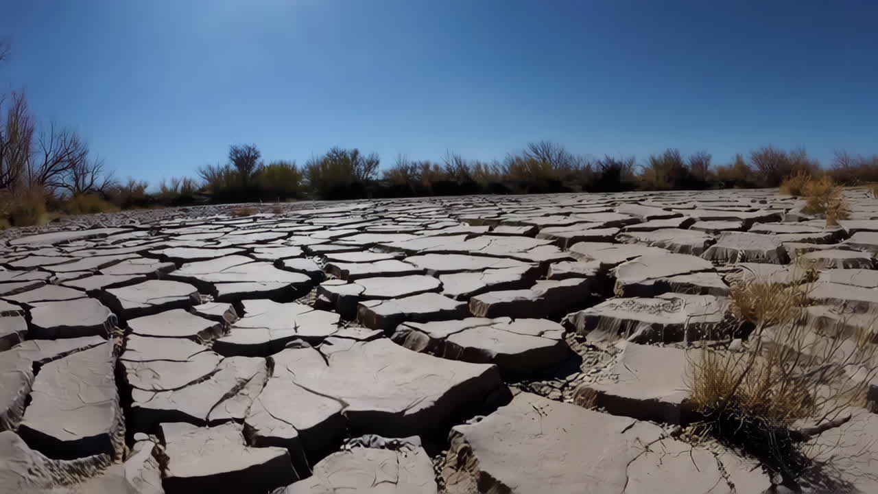 Vast Expanse of Cracked Earth Under a Clear Sky