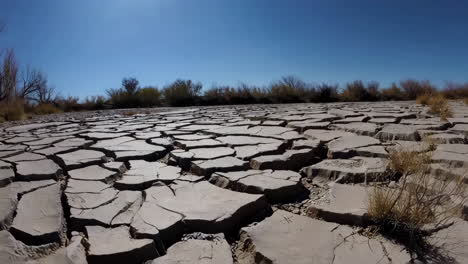 vast expanse of cracked earth under a clear sky