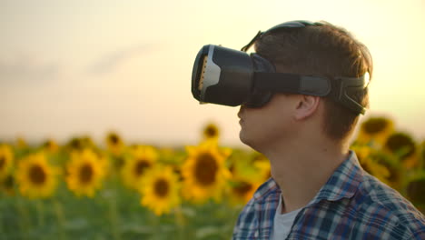 Un-Hombre-Inspecciona-Un-Campo-Con-Girasoles-Con-Gafas-De-Realidad-Virtual.-Estas-Son-Tecnologías-Modernas-En-Las-Noches-De-Verano.