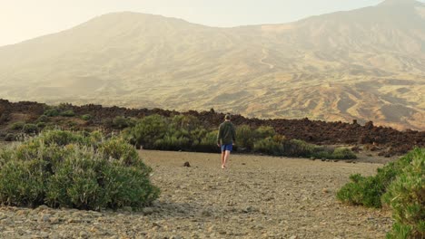 man walking by himself across the land towards the mountains while wearing jacket hoodie and baseball cap, static wide angle