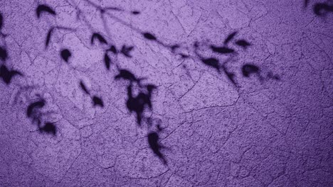 shadows of nature on purple textured surface vertical