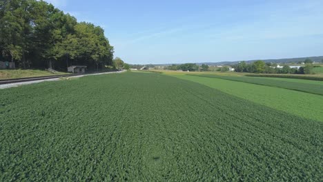 vista aérea cerca de tierras agrícolas verdes junto a una vía férrea en la campiña amish en un día soleado de verano