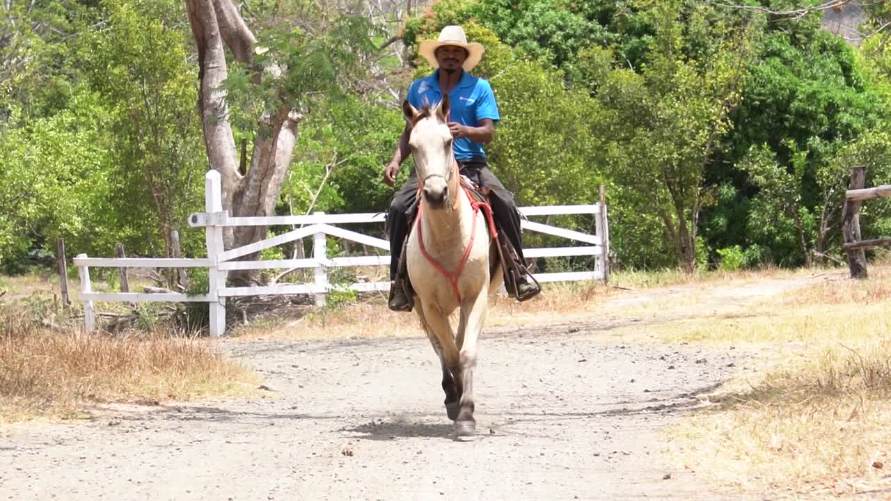 A cowboy in Costa Rica, happily riding a horse. Slow motion shot.