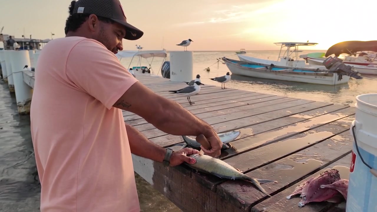Scena autentica di un pescatore latino che pulisce pesce fresco su un molo di legno, con gabbiani curiosi nelle vicinanze in un'atmosfera di caldo tramonto. Sfondo con mare caraibico e barche da pesca. 4K DLOG