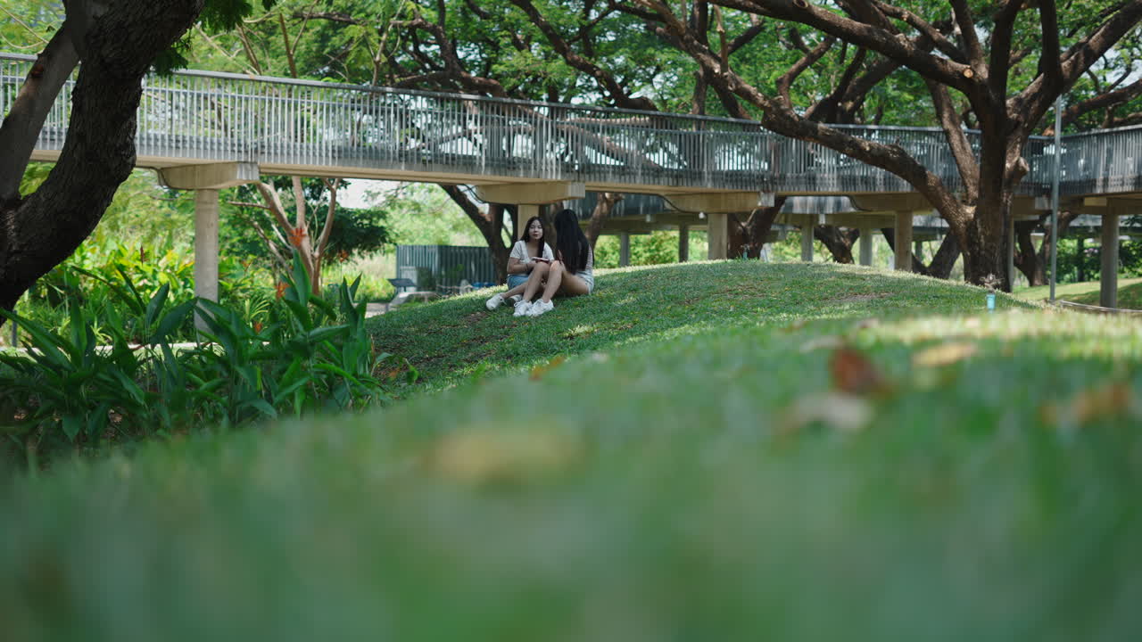 Dos mujeres jóvenes sentadas hablando en una colina cubierta de hierba en un parque