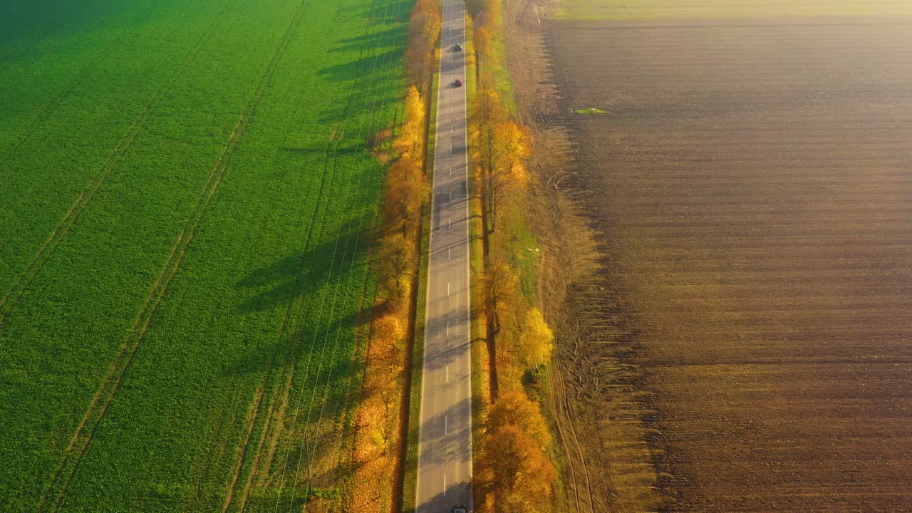 해가 지는 아름다운 가을 숲의 도로의 공중 풍경
