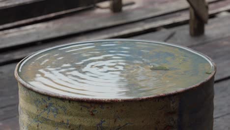 silencioso y quieto, pero nunca en reposo, ondulando el agua en su búsqueda sin fin