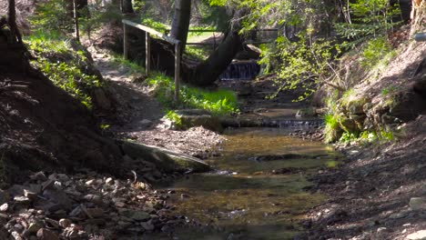 beautiful calm scene of river running through forest with light flooding in through trees